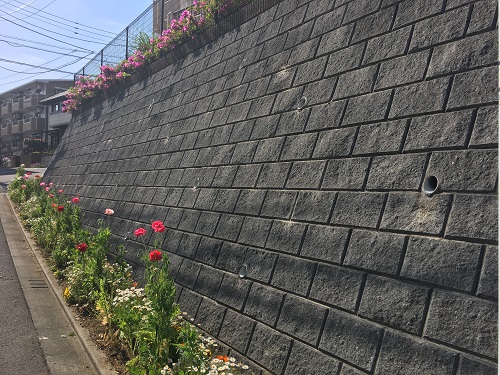 間知（けんち）