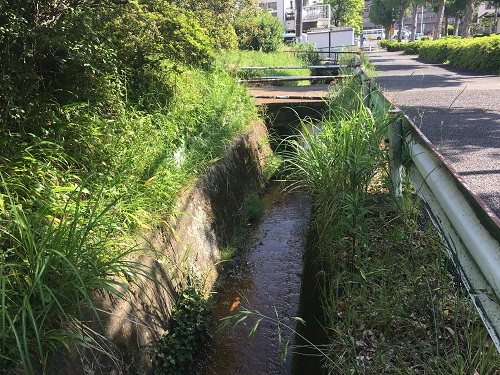 青道（あおみち）